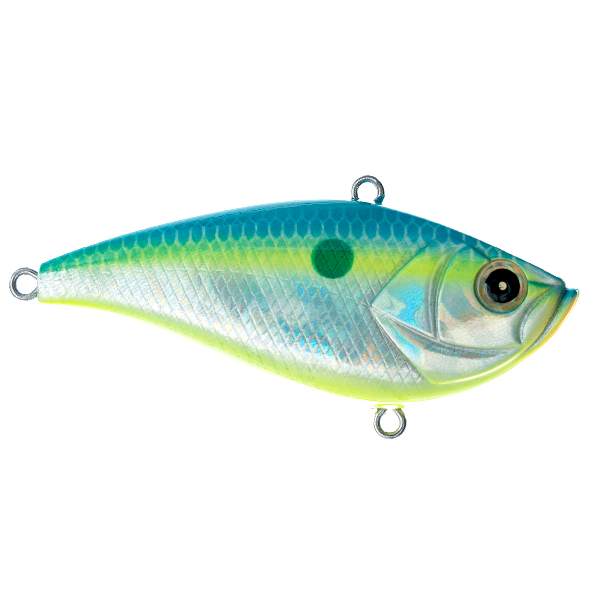 Shaker Z Knock Knock Lipless Crankbait